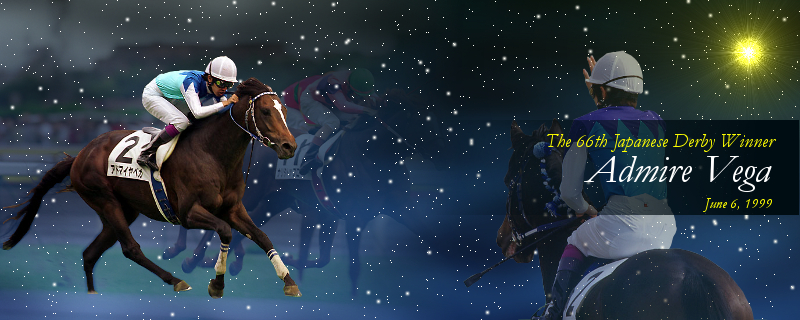 トップイメージ（アドマイヤベガ）